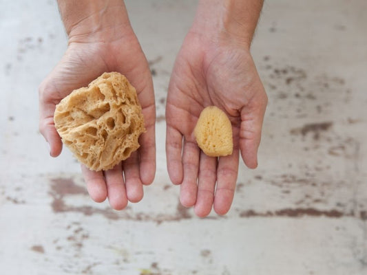 Sea Wool Natural Sponge