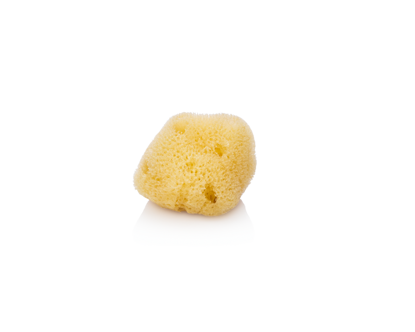 Silk Facial Sea Sponge