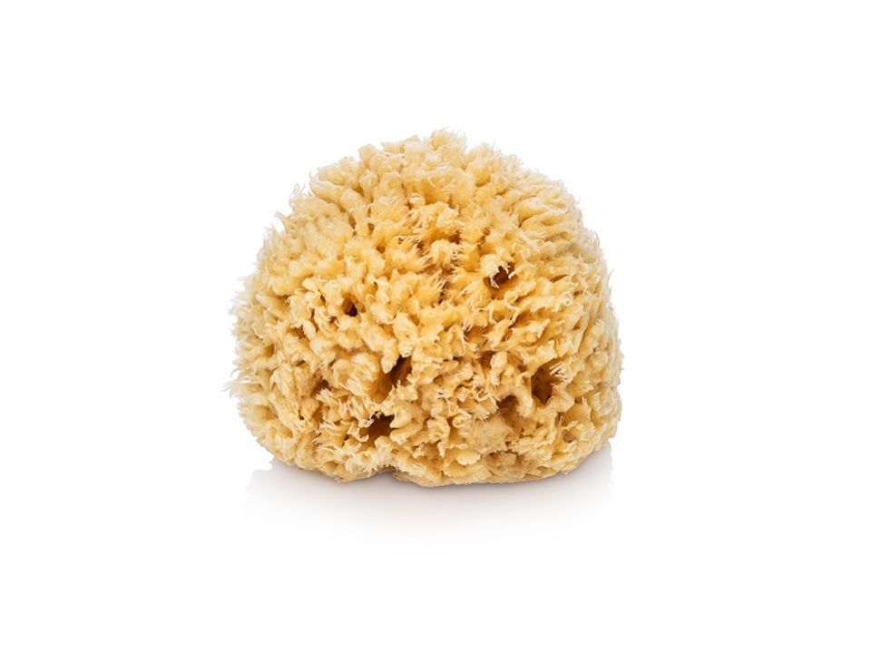 Sea Wool Natural Sponge